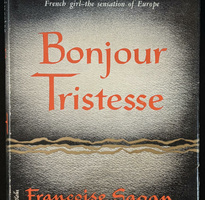 Bonjour Tristesse Francoise Sagan